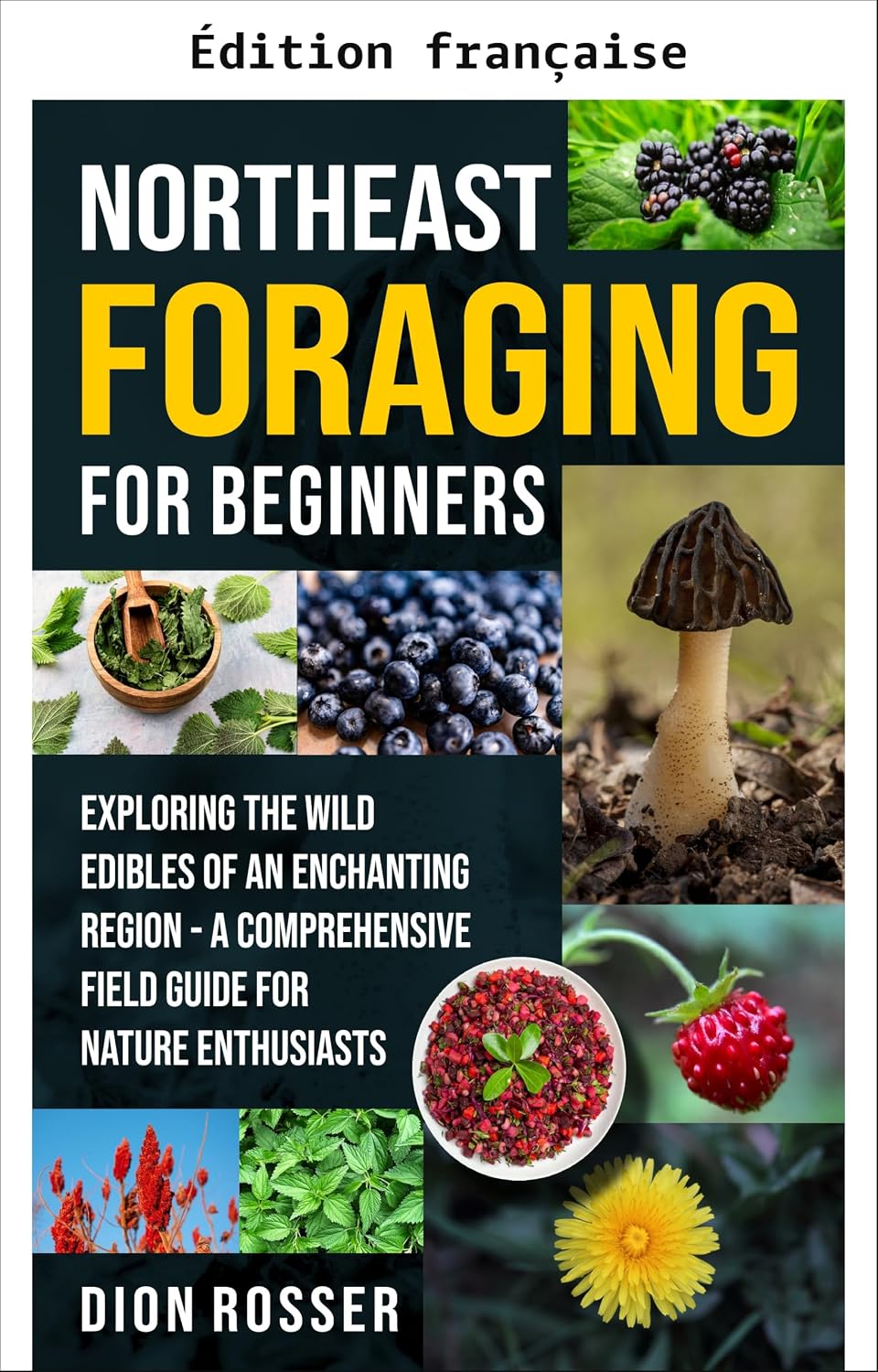Cueillette sauvage dans le Nord-Est pour débutants: à la découverte des comestibles sauvages d'une région enchanteresse – un guide de terrain complet pour les passionnés de nature (French Edition) baixar o livro de graça