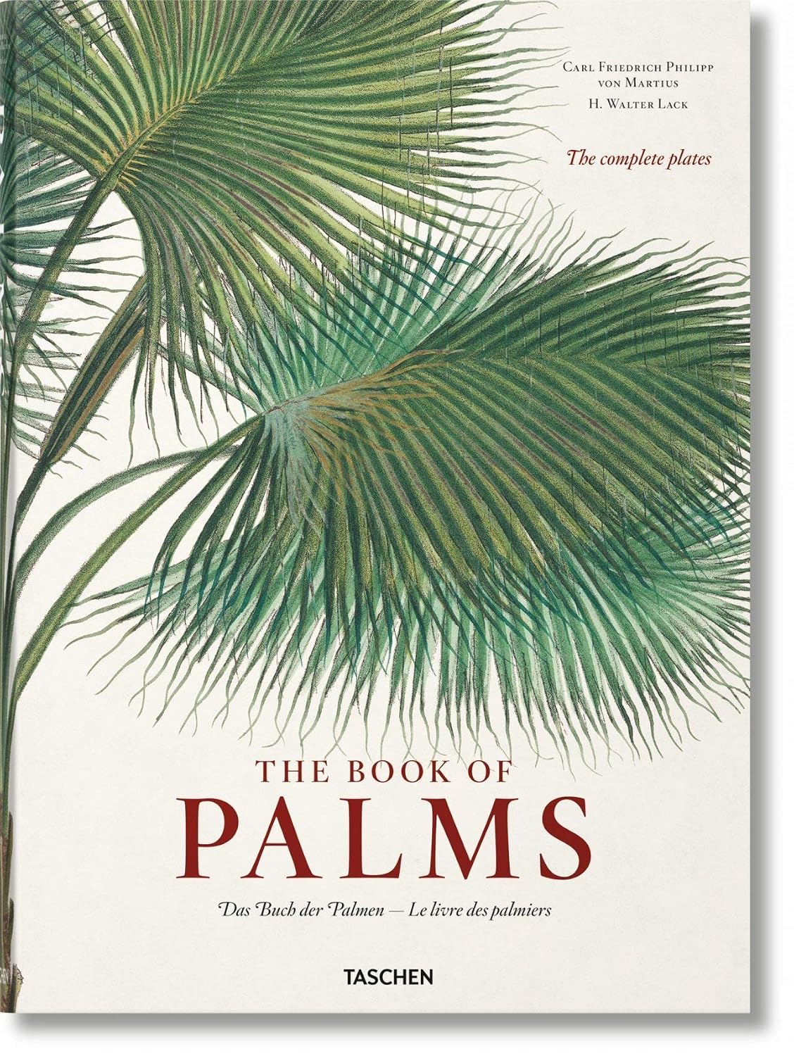 capítulo por capítulo baixar Martius. the Book of Palms