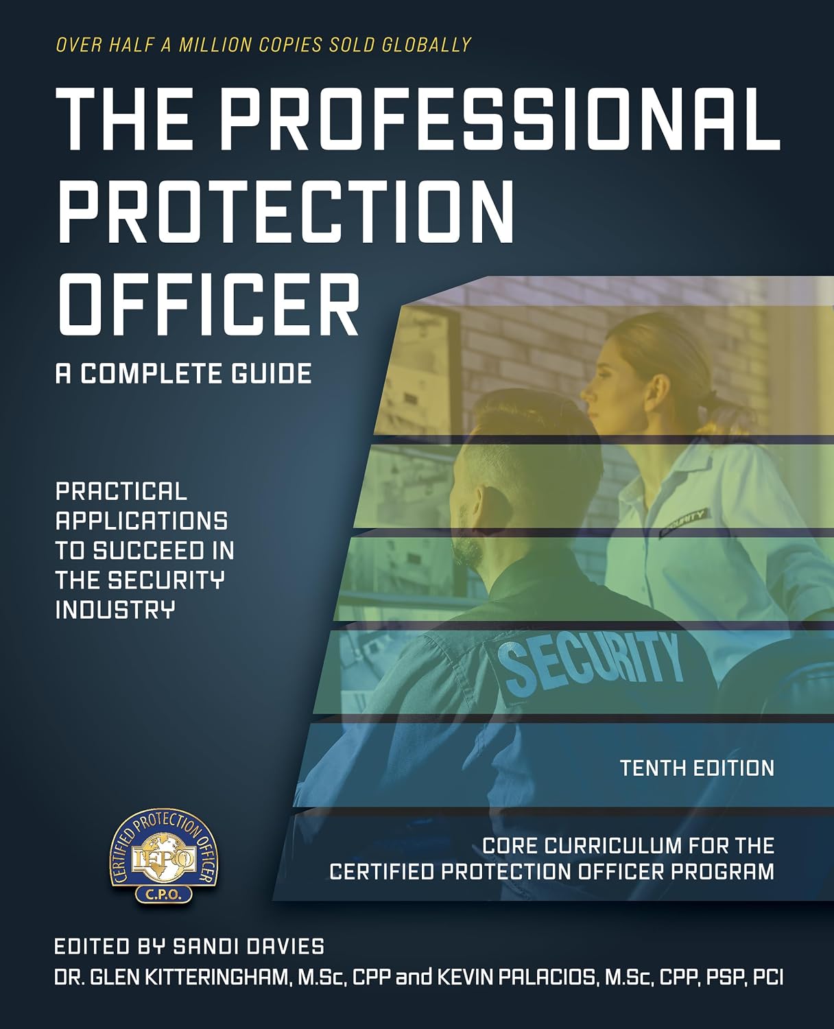 The Professional Protection Officer: Practical Applications to Succeed in the Security Industry (English Edition) baixar livro de graça