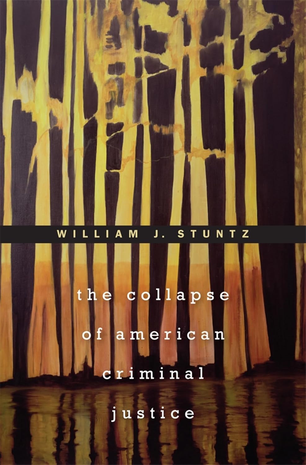 The Collapse of American Criminal Justice (English Edition)