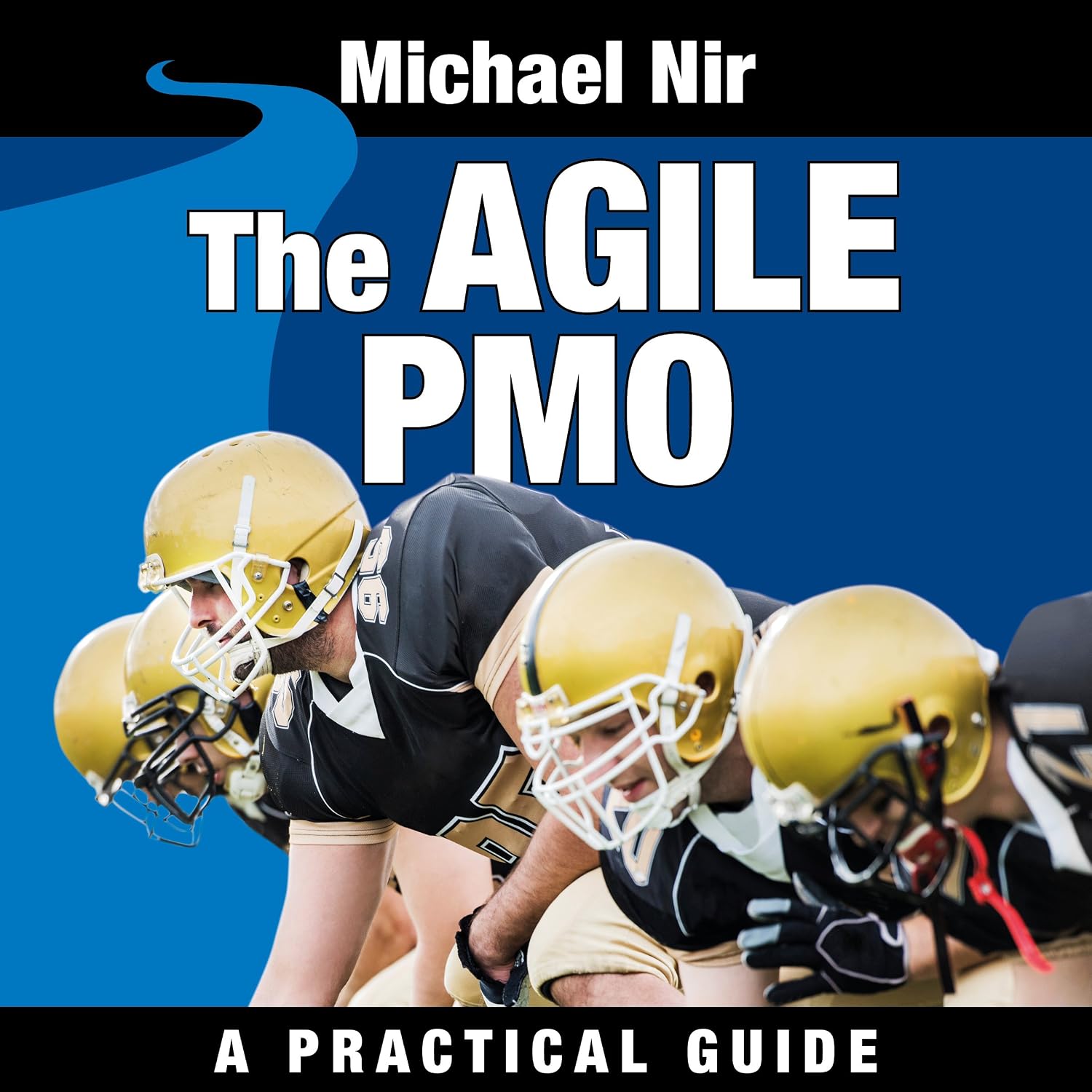 capítulo por capítulo baixar The Agile PMO: Leading the Effective, Value Driven, Project Management Office
