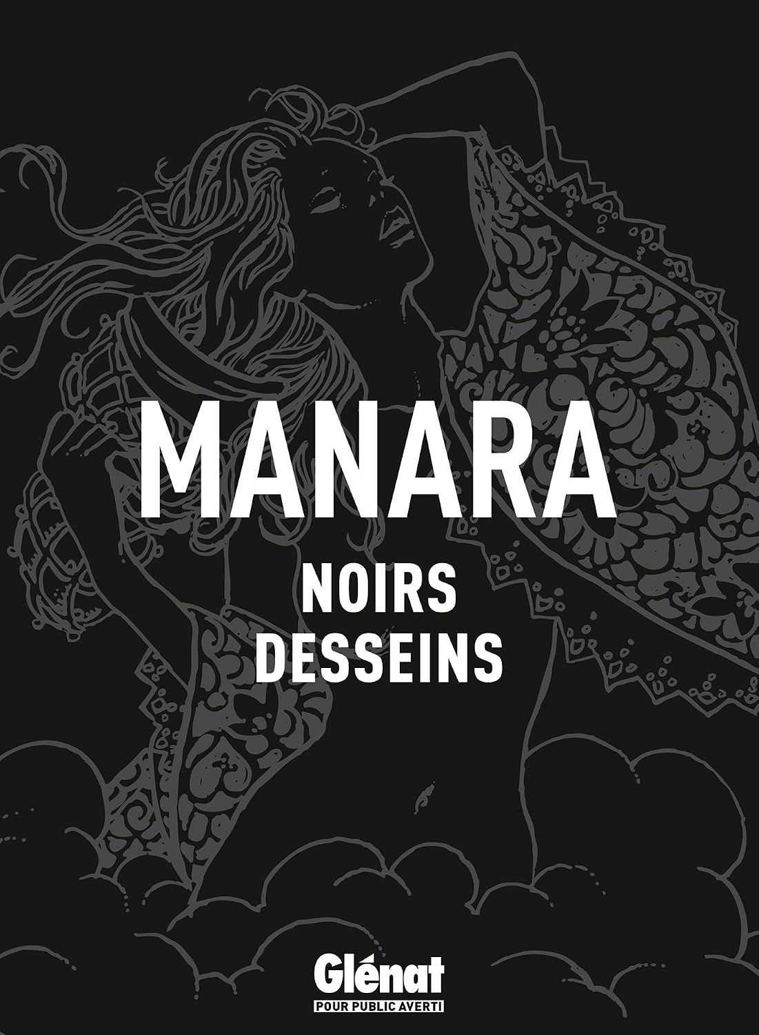 Noirs desseins (French Edition) baixar livro de graça