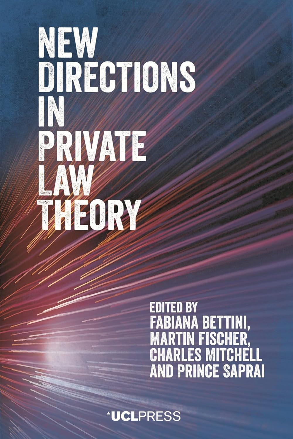 New Directions in Private Law Theory (English Edition) baixar o livro de graça