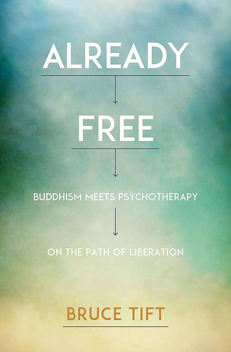 Already Free: Buddhism Meets Psychotherapy on the Path of Liberation (English Edition) baixar o livro de graça