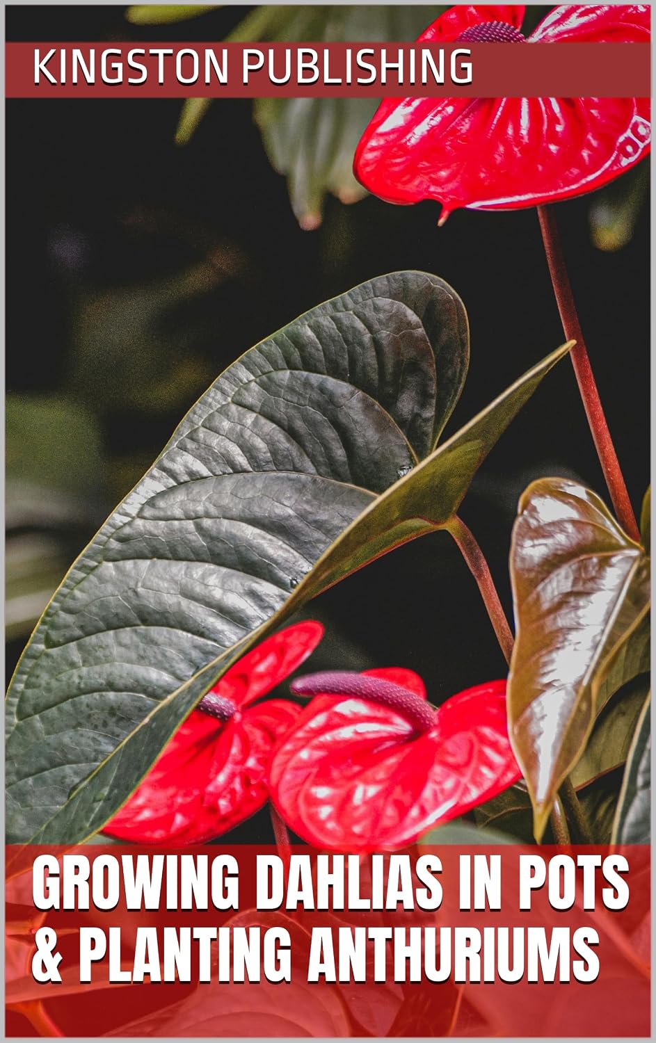 ler totalmente Growing Radiant Dahlias in Pots & Planting Anthuriums (Indoor Havens) (English Edition)