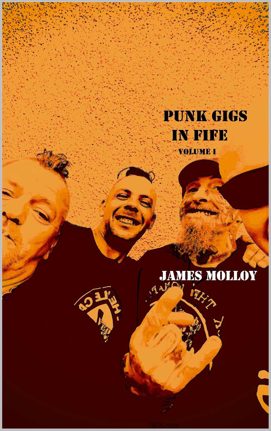 ler totalmente Punk Gigs in Fife (English Edition)