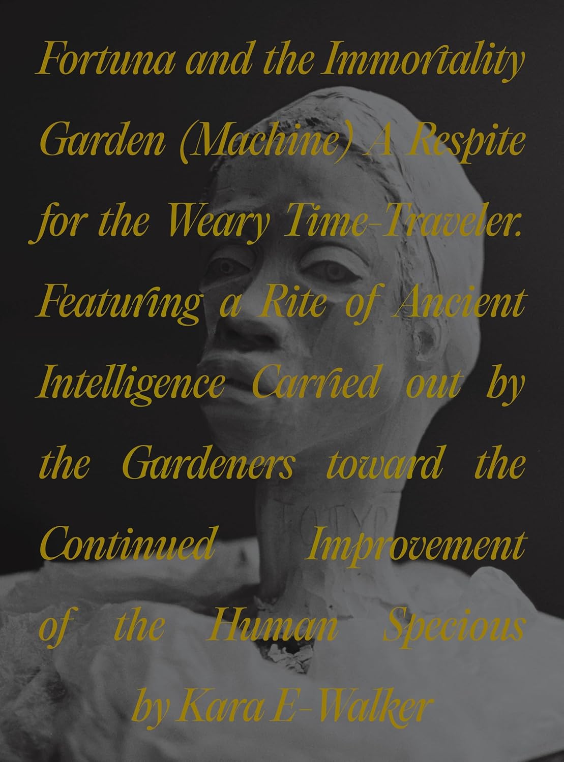 Fortuna and the Immortality Garden (Machine): A Respite for the Weary Time-Traveler. Featuring a Rite of Ancient Intelligence Carried Out by the... of the Human Specious by Kara E-Walker baixar o livro de graça
