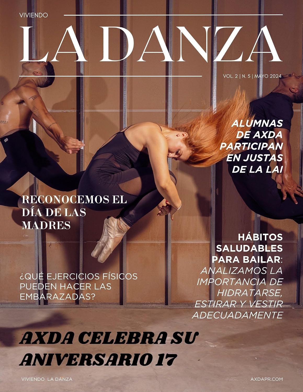 Viviendo la Danza Vol. 2 N. 5 (2024) (Spanish Edition) baixar o livro de graça