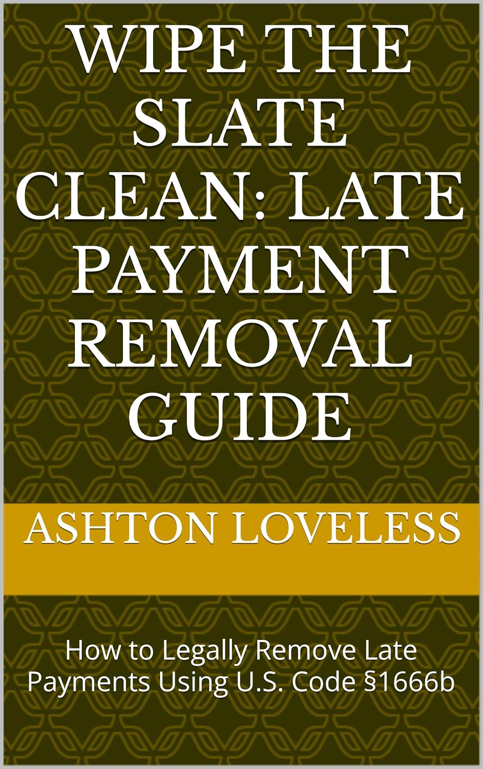 WIPE THE SLATE CLEAN: Late Payment Removal Guide: How to Legally Remove Late Payments Using U.S. Code §1666b (English Edition) baixar livro de graça