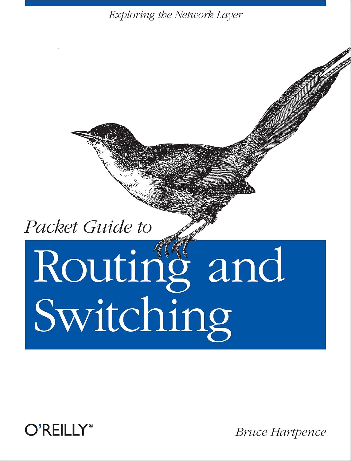 Packet Guide to Routing and Switching: Exploring the Network Layer (English Edition)
