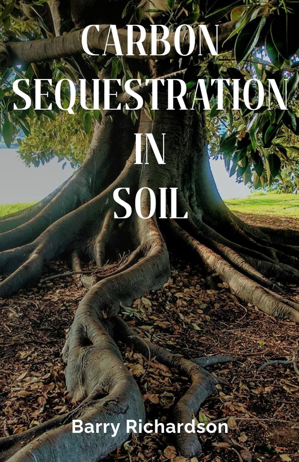 ler totalmente Carbon Sequestration In Soil