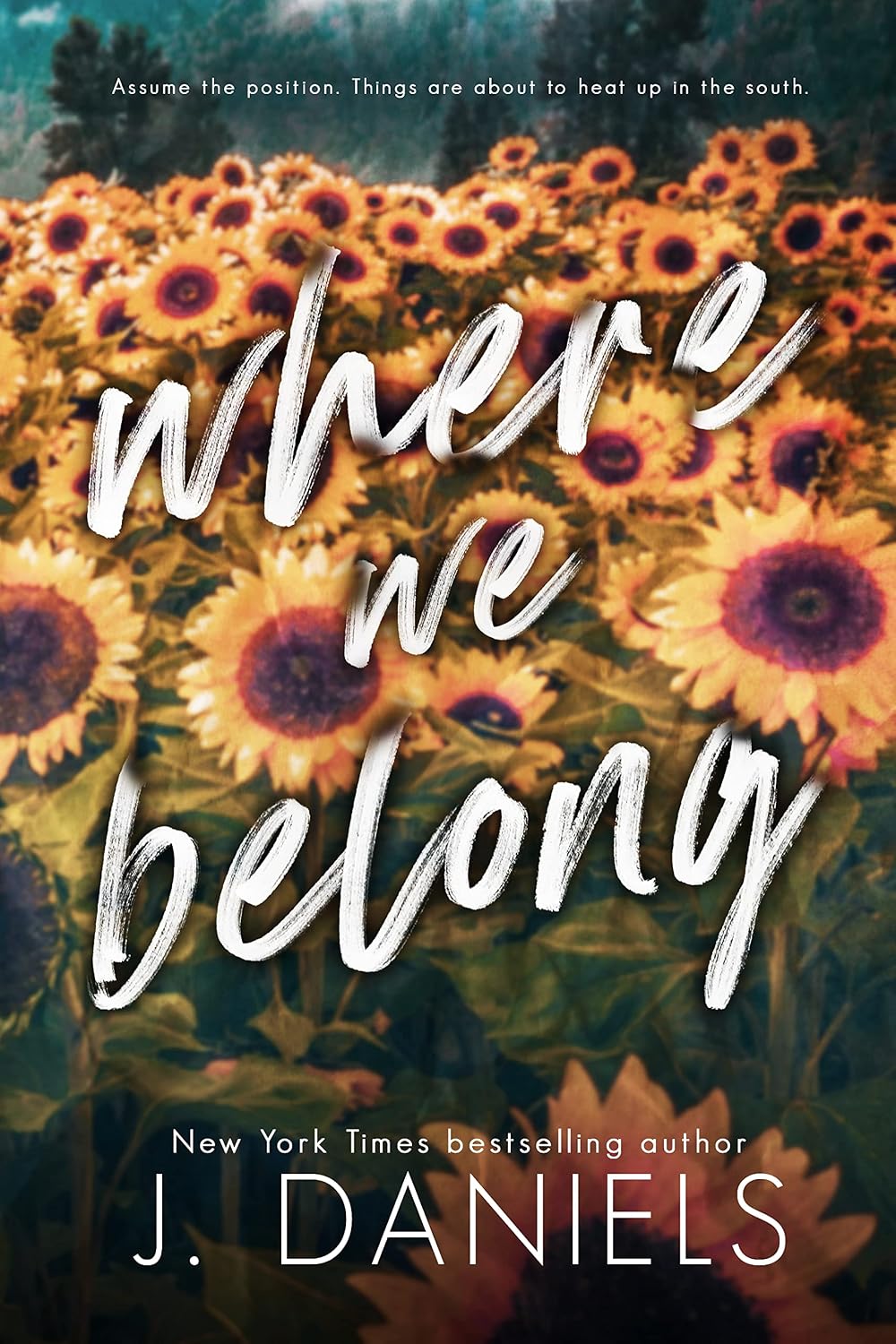 Where We Belong (Alabama Summer Book 4) (English Edition) baixar livro de graça