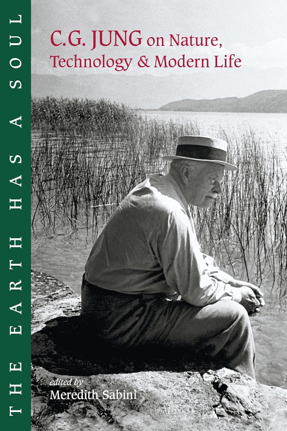 The Earth Has a Soul: C.G. Jung on Nature, Technology and Modern Life baixar livro de graça