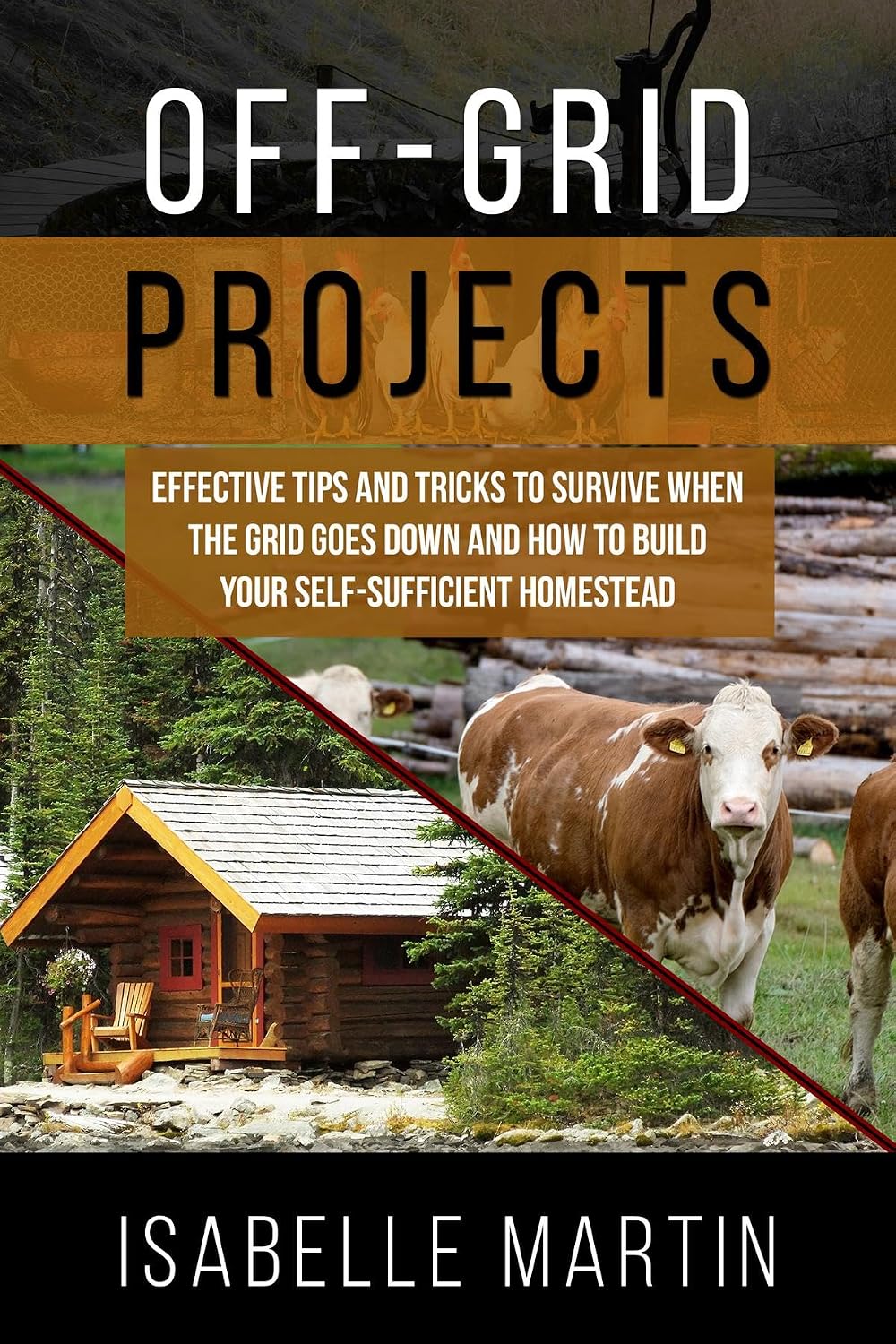 ler totalmente OFF-GRID PROJECTS: Effective Tips and Tricks to Survive When the Grid Goes Down and How to Build Your Self-Sufficient Homestead (English Edition)