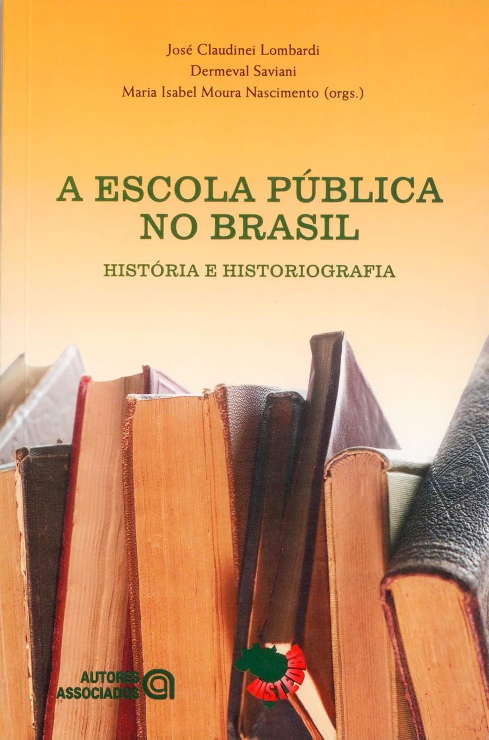 A Escola Pública no Brasil: História e Historiografia baixar livro de graça