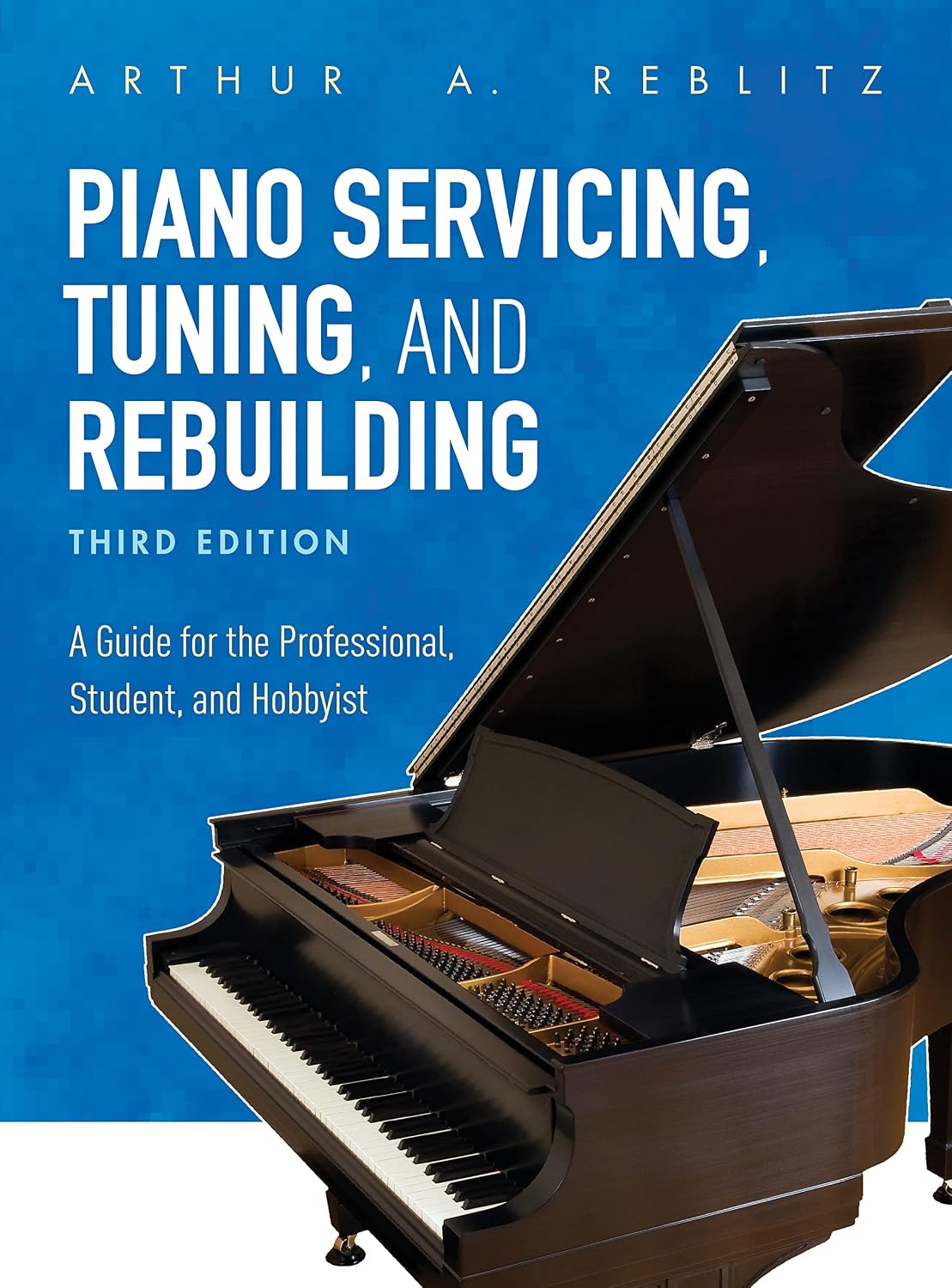ler totalmente Piano Servicing, Tuning, and Rebuilding: A Guide for the Professional, Student, and Hobbyist