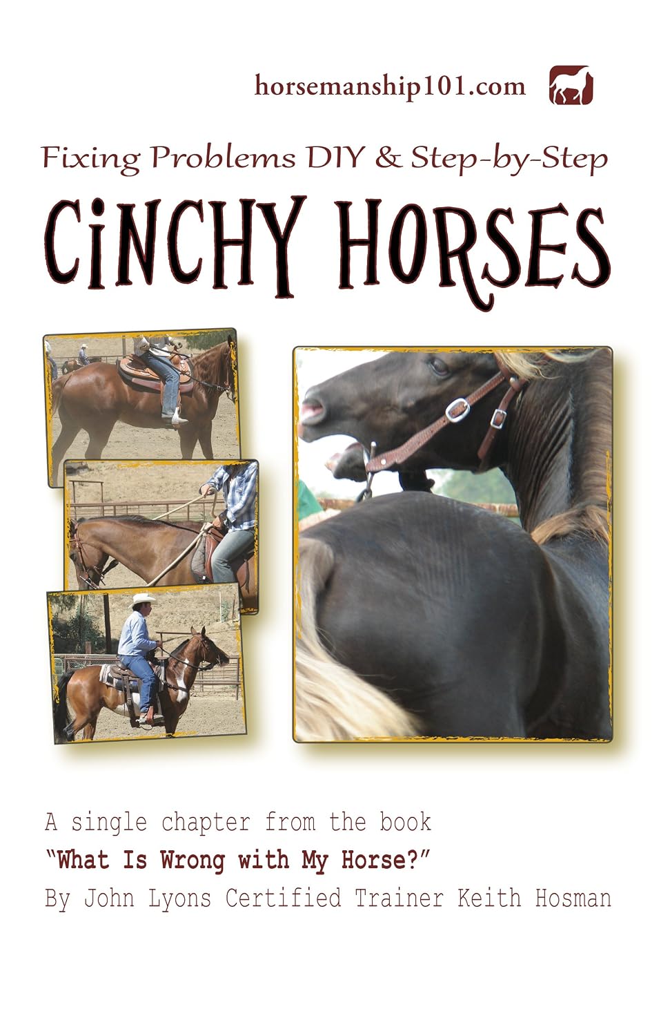 ler totalmente Cinchy Horses (What Is Wrong with My Horse? Book 18) (English Edition)