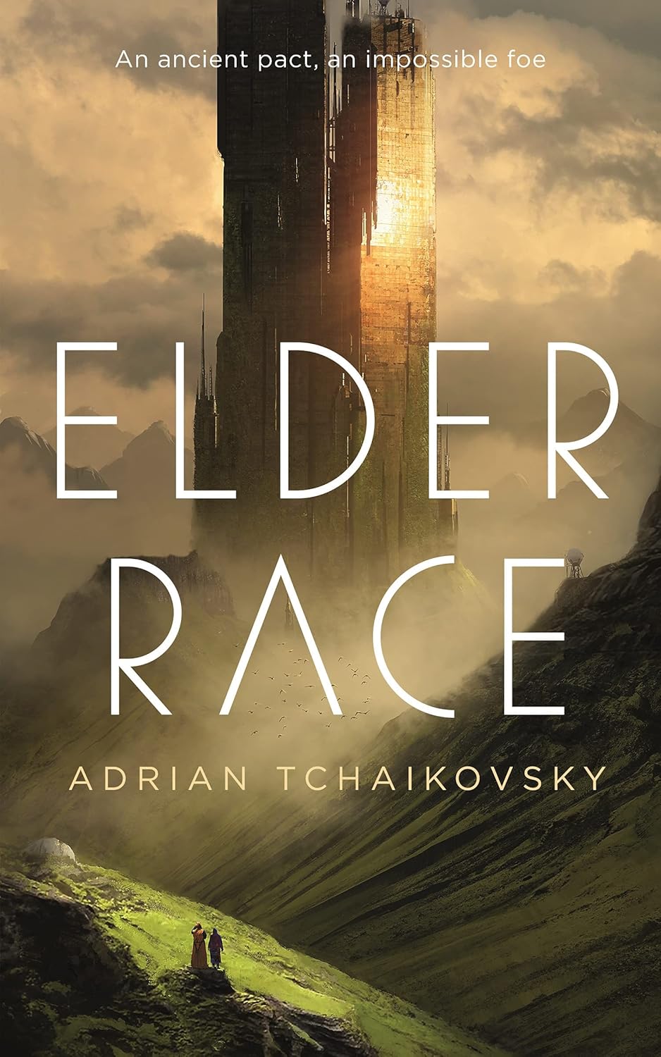 Elder Race: 1 baixar livro de graça