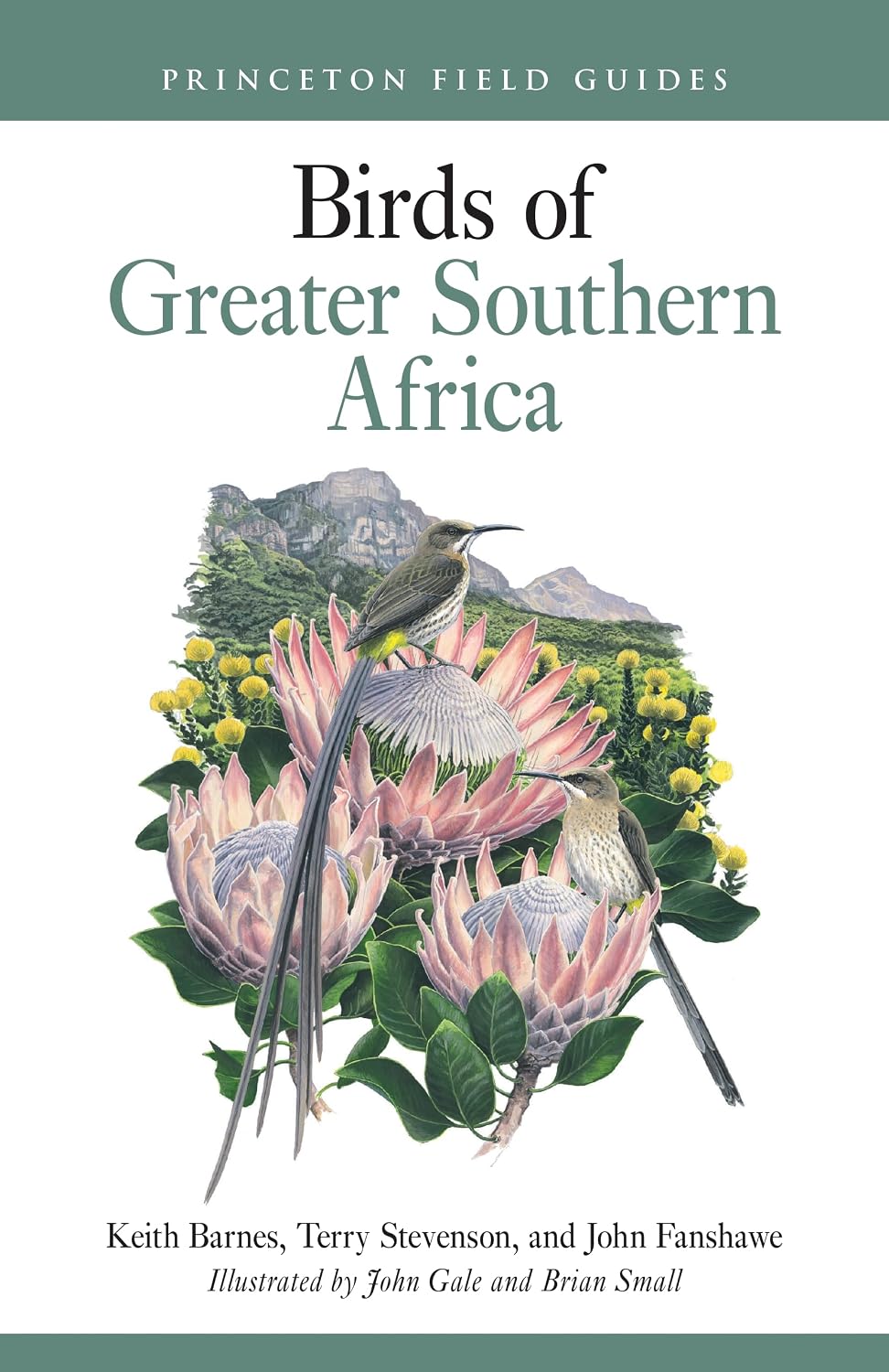 ler totalmente Birds of Greater Southern Africa: 163