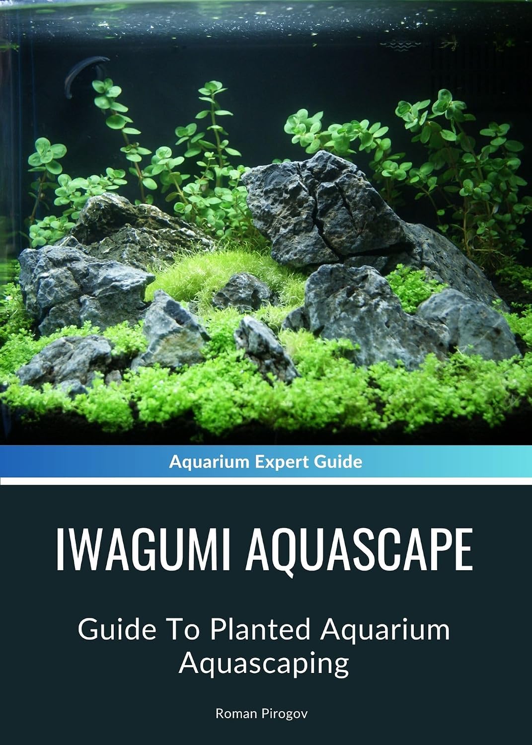 Iwagumi Aquascape: Guide To Planted Aquarium Aquascaping (English Edition) baixar livro de graça