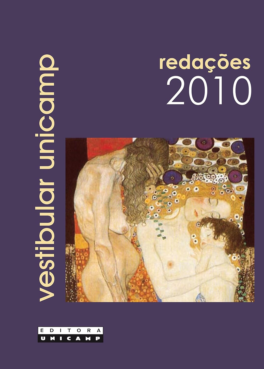 Vestibular Unicamp - Redações 2010 baixar livro de graça