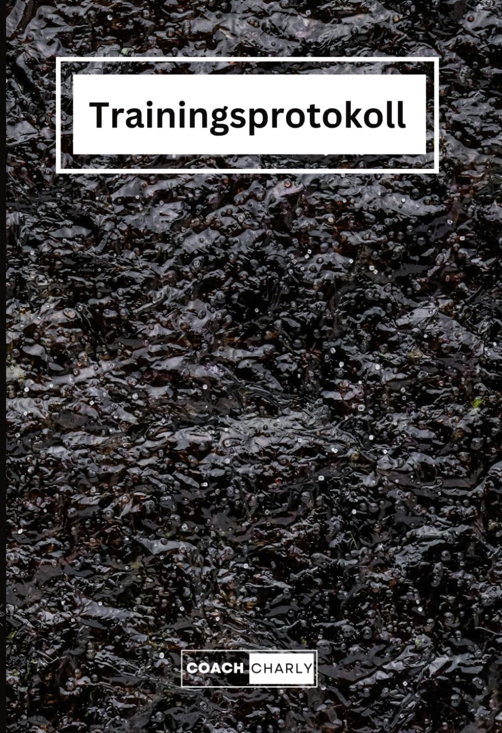 capítulo por capítulo baixar Ganzheitliches Trainingstagebuch: Trainingsplan für 3 monatige Saisonvorbereitung oder Aufbautraining