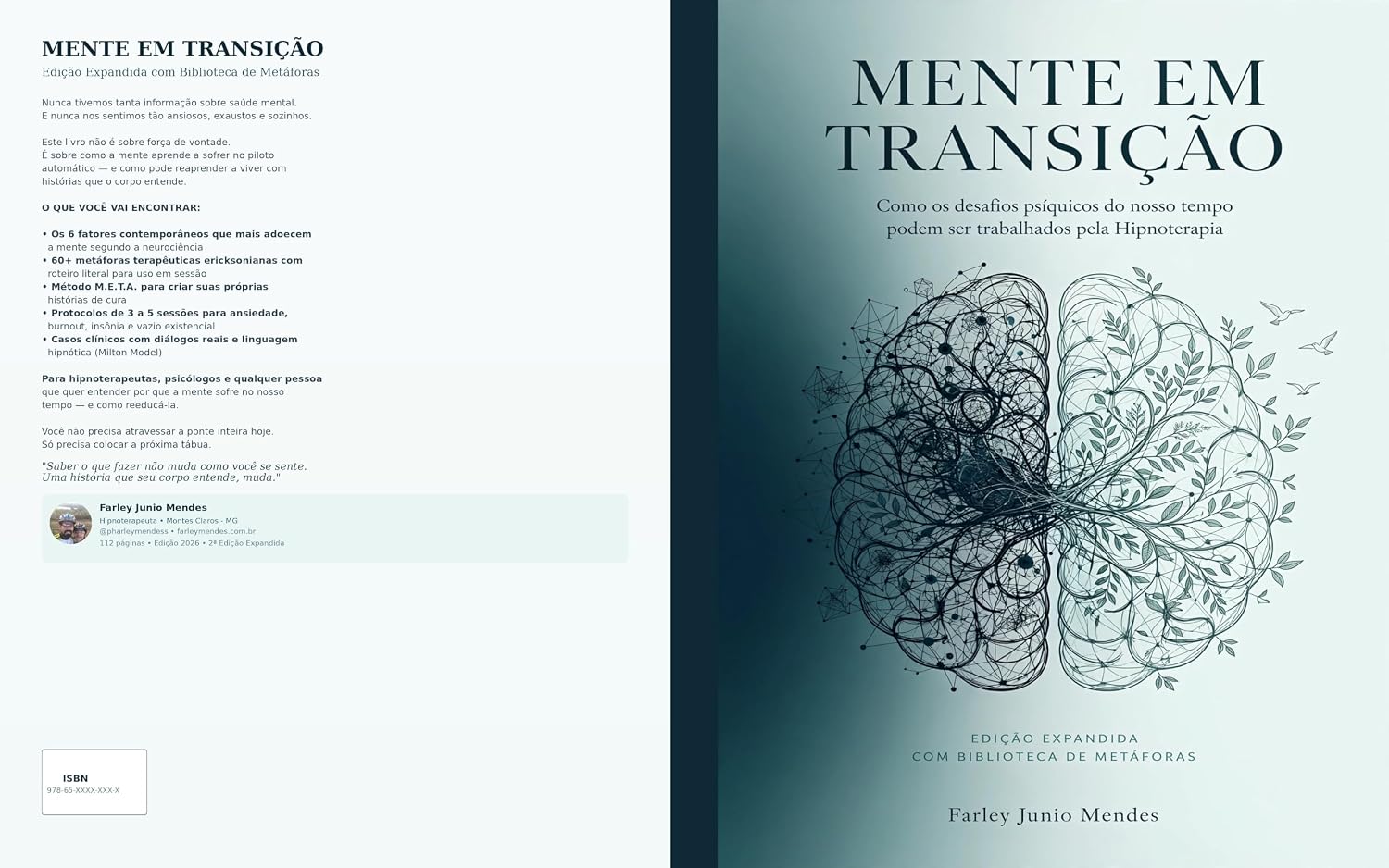 Mente em Transição - Como os desafios psíquicos do nosso tempo podem ser trabalhados pela Hipnoterapia | Edição Expandida com Biblioteca de Metáforas:... casos clínicos e 60+ metáforas ericks baixar livro de graça