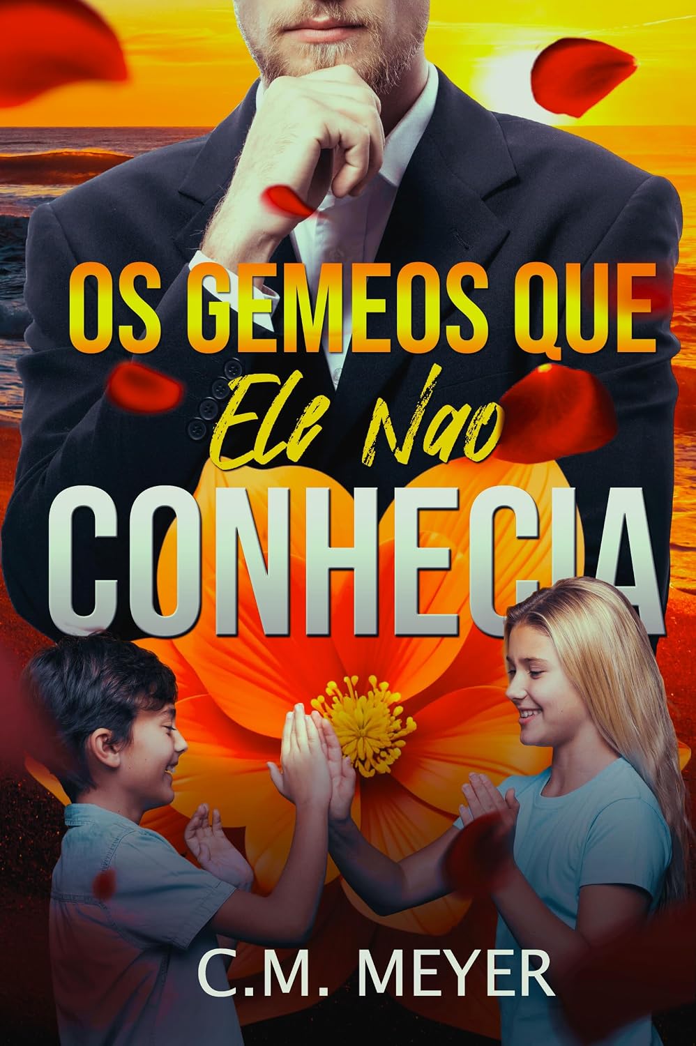 Os Gêmeos Que Ele Não Conhecia baixar livro de graça