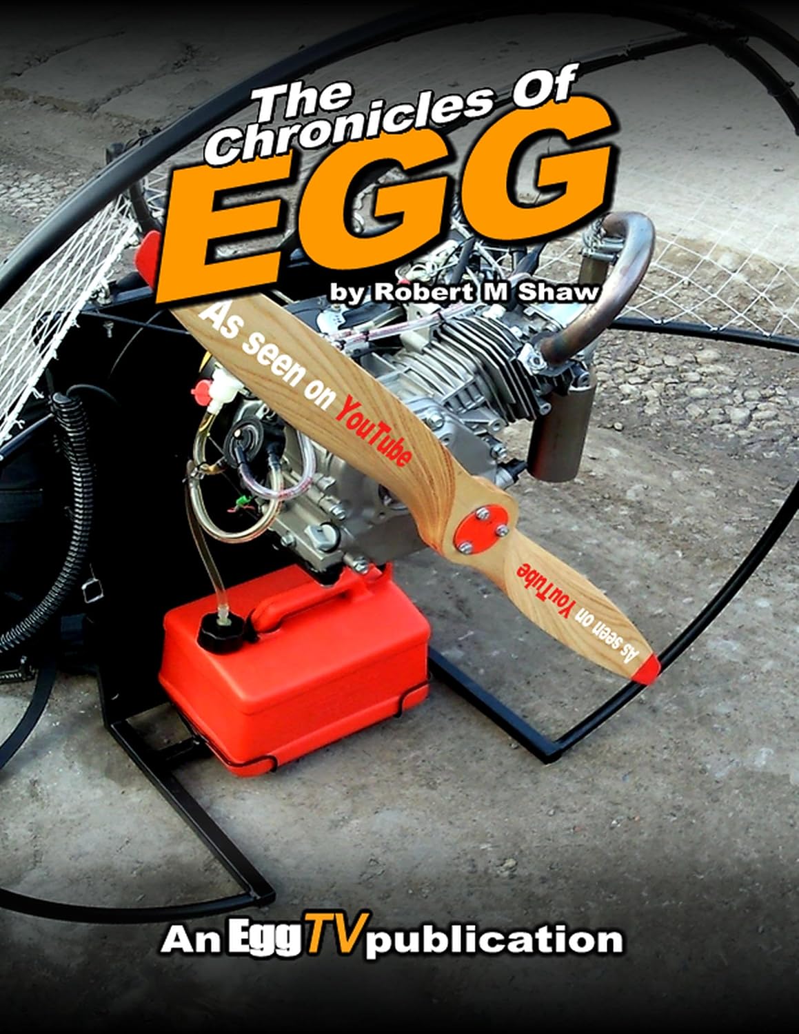 The Chronicles Of Egg: The Story of my D.I.Y. Aviation Project (English Edition) baixar livro de graça