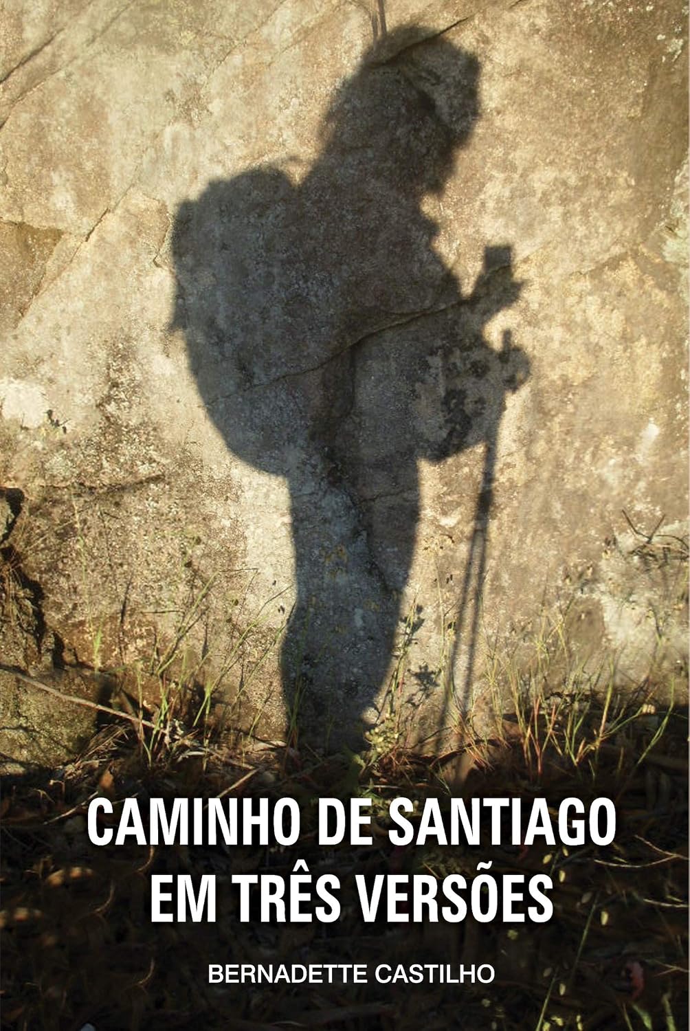Caminho de Santiago em três versões baixar livro de graça