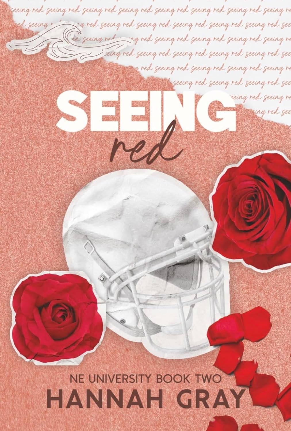 Seeing Red: A New Adult Sports Romance (NE University Book 2) (English Edition) baixar o livro de graça