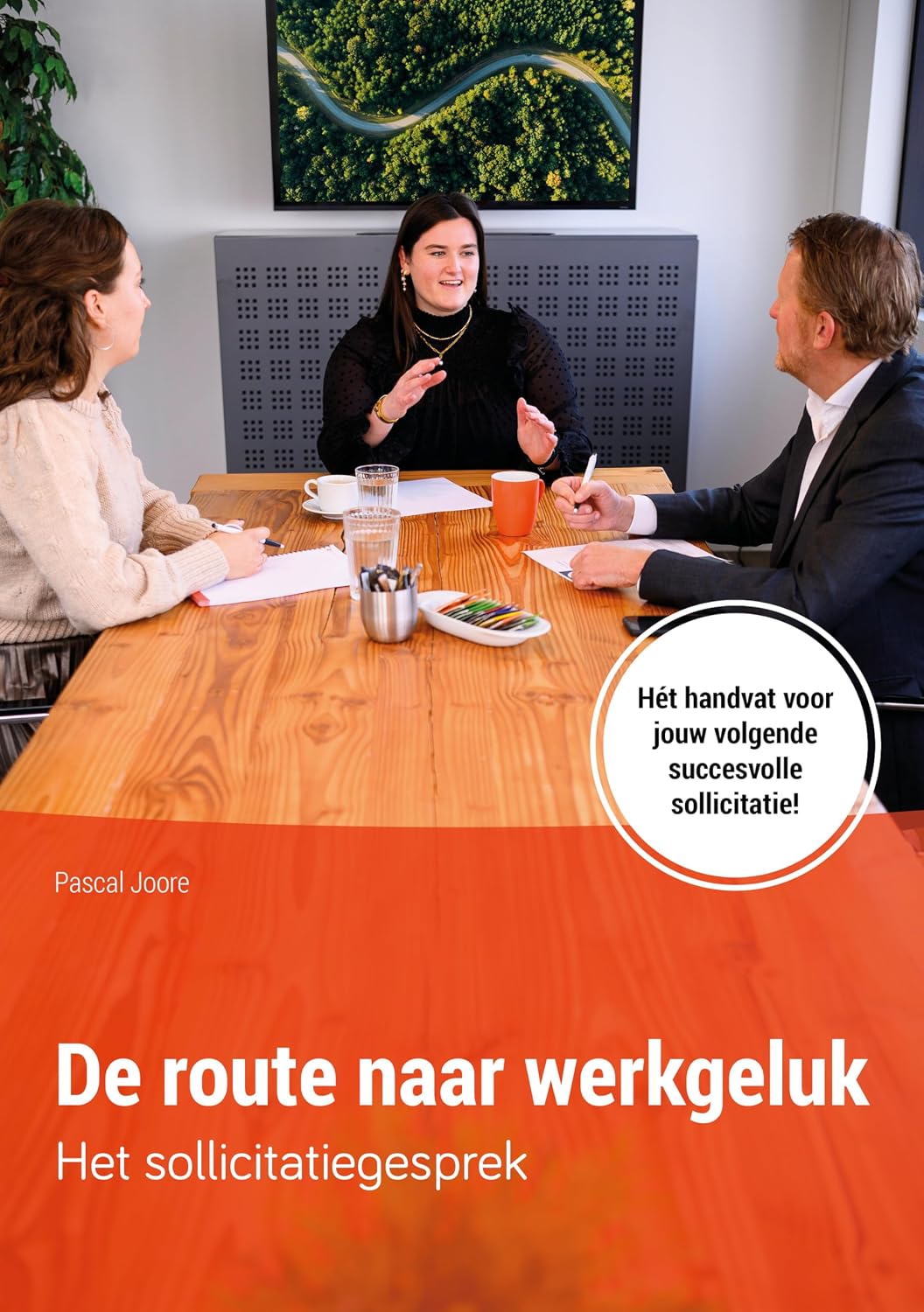 Het sollicitatiegesprek (De route naar werkgeluk Book 3) (Dutch Edition) baixar livro de graça