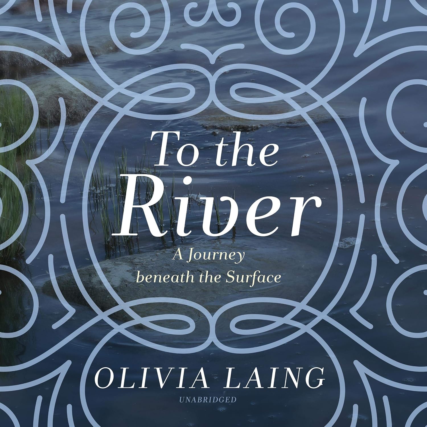 To the River: A Journey Beneath the Surface baixar livro de graça
