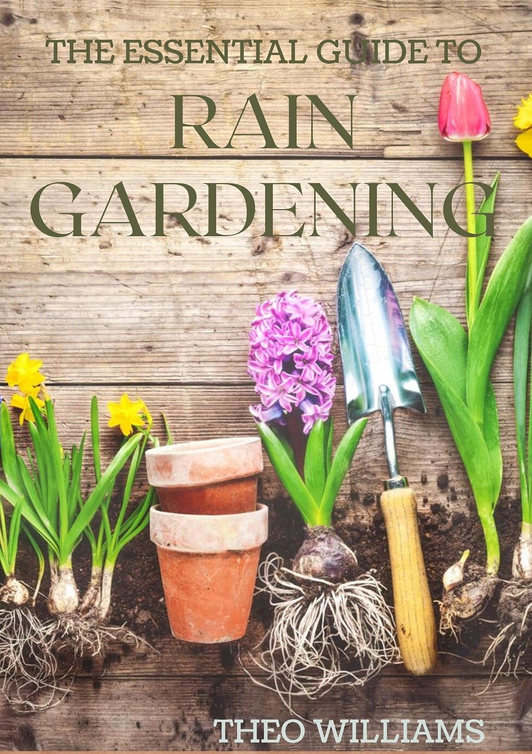 THE ESSENTIAL GUIDE TO RAIN GARDENING: The Comprehensive Guide To Ecologically Designed Gardens for Flooding And Drought (English Edition) baixar livro de graça