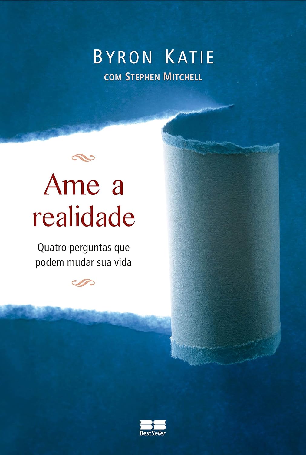 Ame a realidade baixar livro de graça