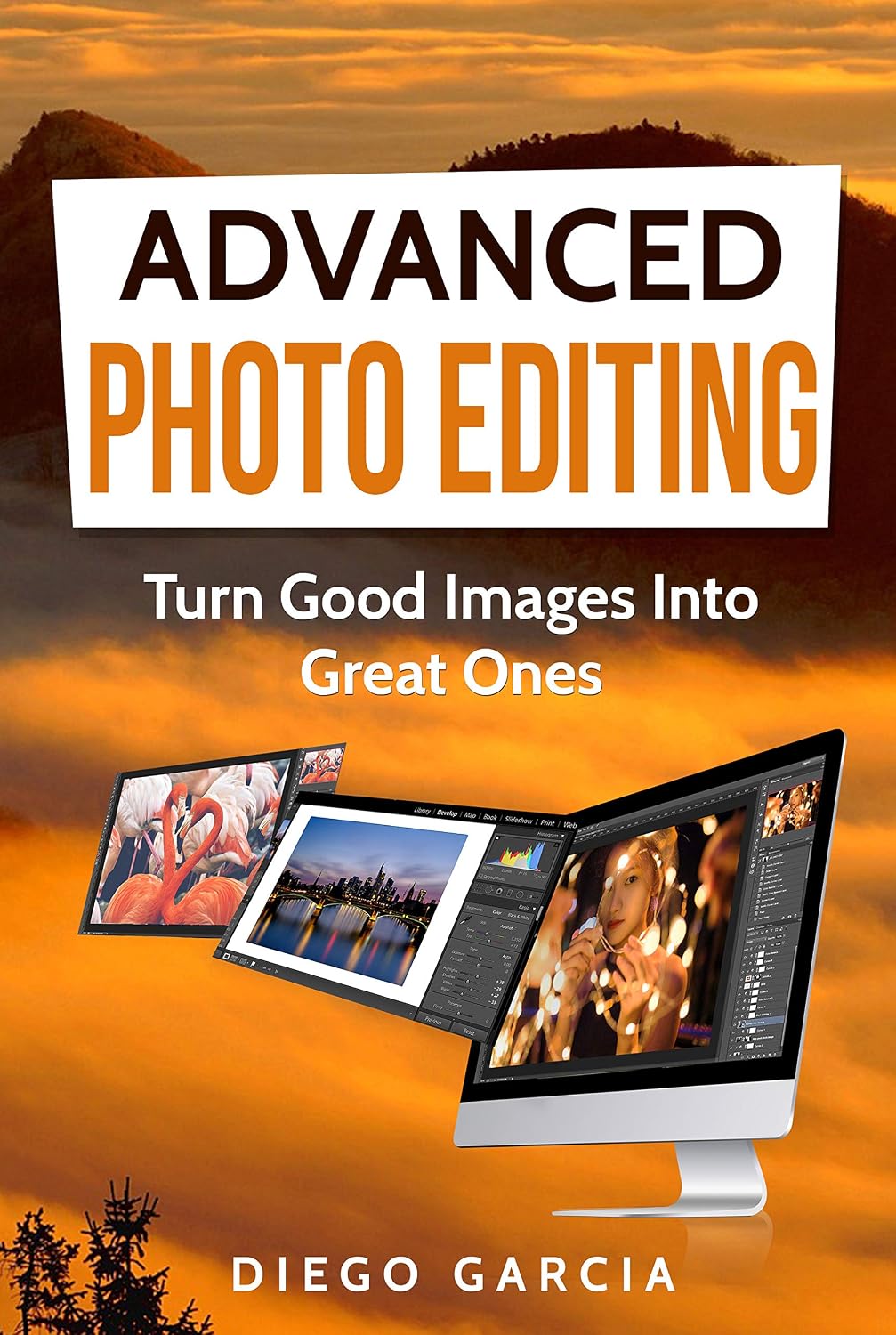 Advanced Photo Editing: Turn Good Images Into Great Ones (Learn Photography Book 2) (English Edition) baixar o livro de graça