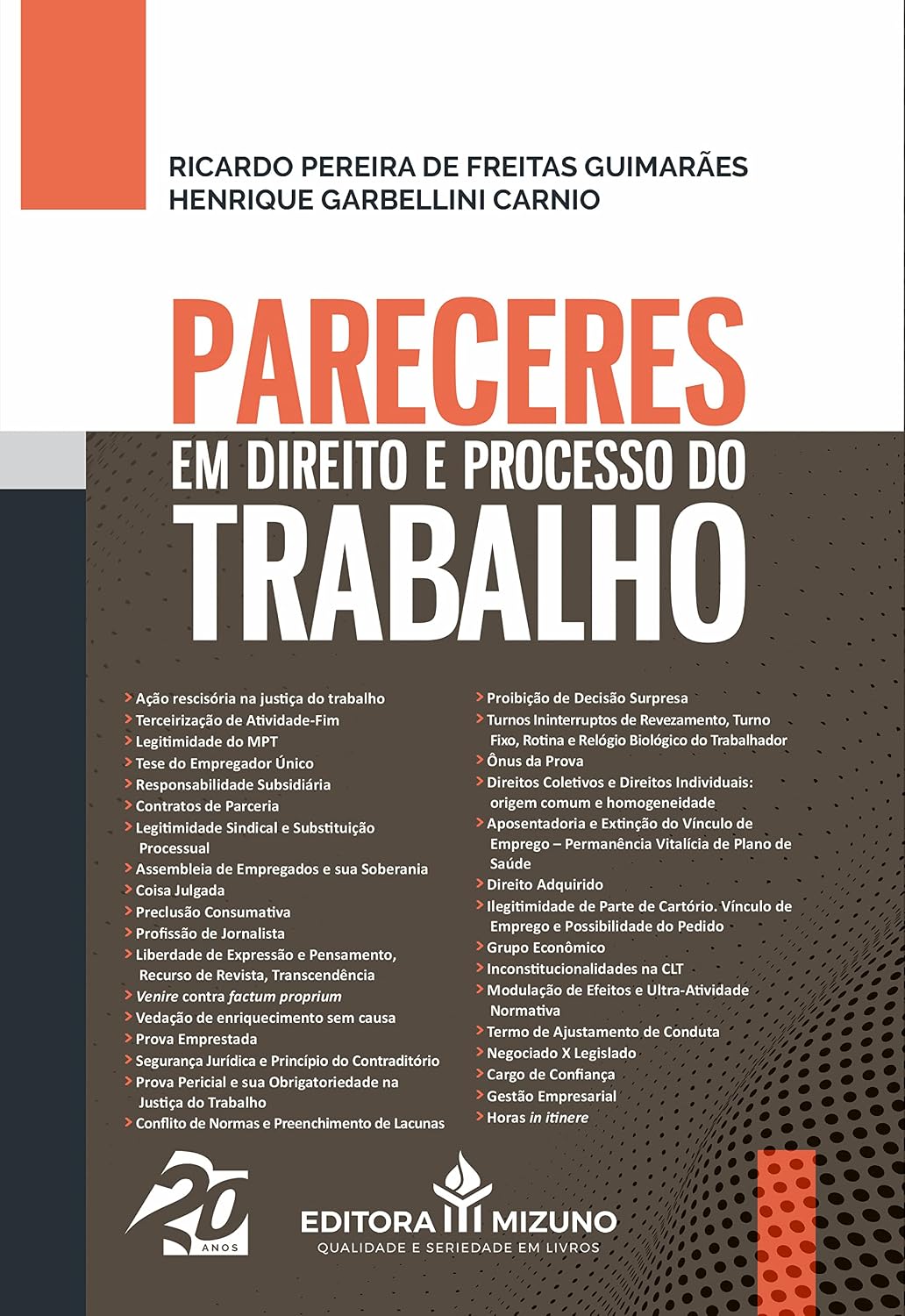 Pareceres em Direito e Processo do Trabalho (Edição 1): Volume 1 baixar livro de graça