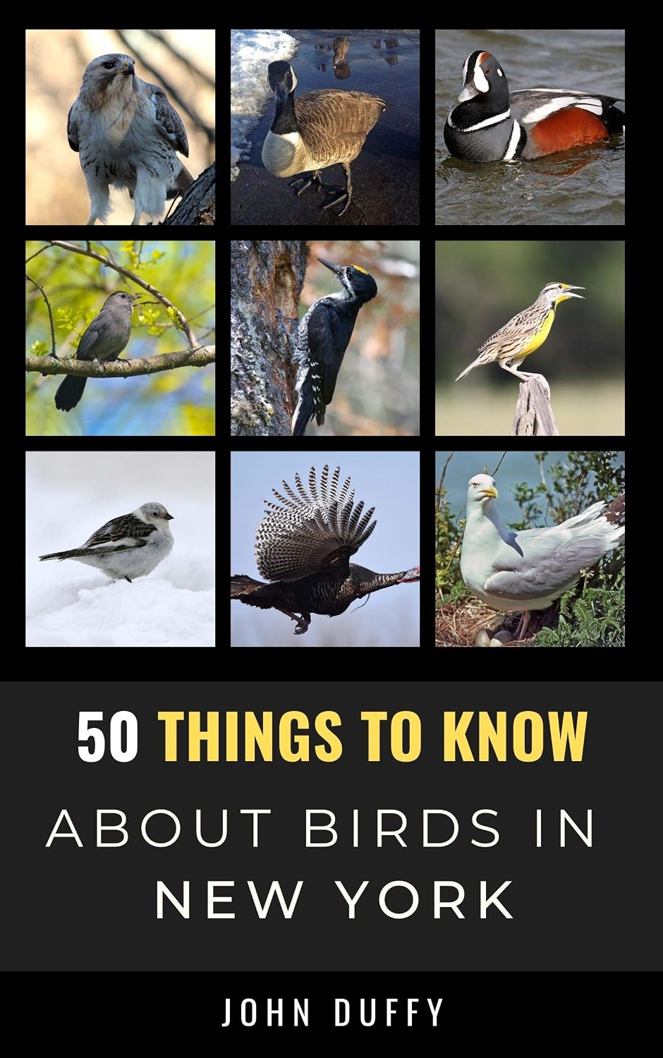 ler totalmente 50 Things to Know About Birds in New York: Birdwatching Guide, Bird Identification, Local Species, & Backyard Birds (50 Things to Know About Birds & Birdwatching:... and regional bird books) (English Edition)