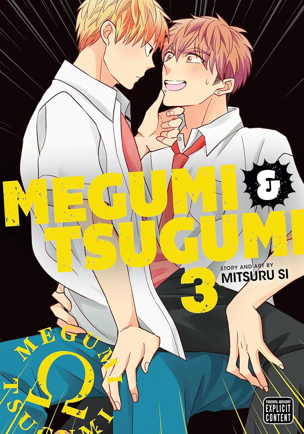 ler totalmente Megumi & Tsugumi, Vol. 3 (Yaoi Manga) (English Edition)