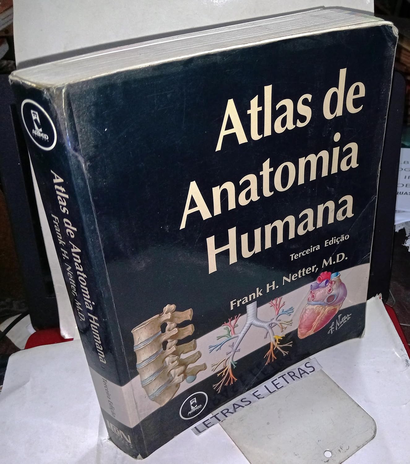 Atlas De Anatomia Humana baixar o livro de graça
