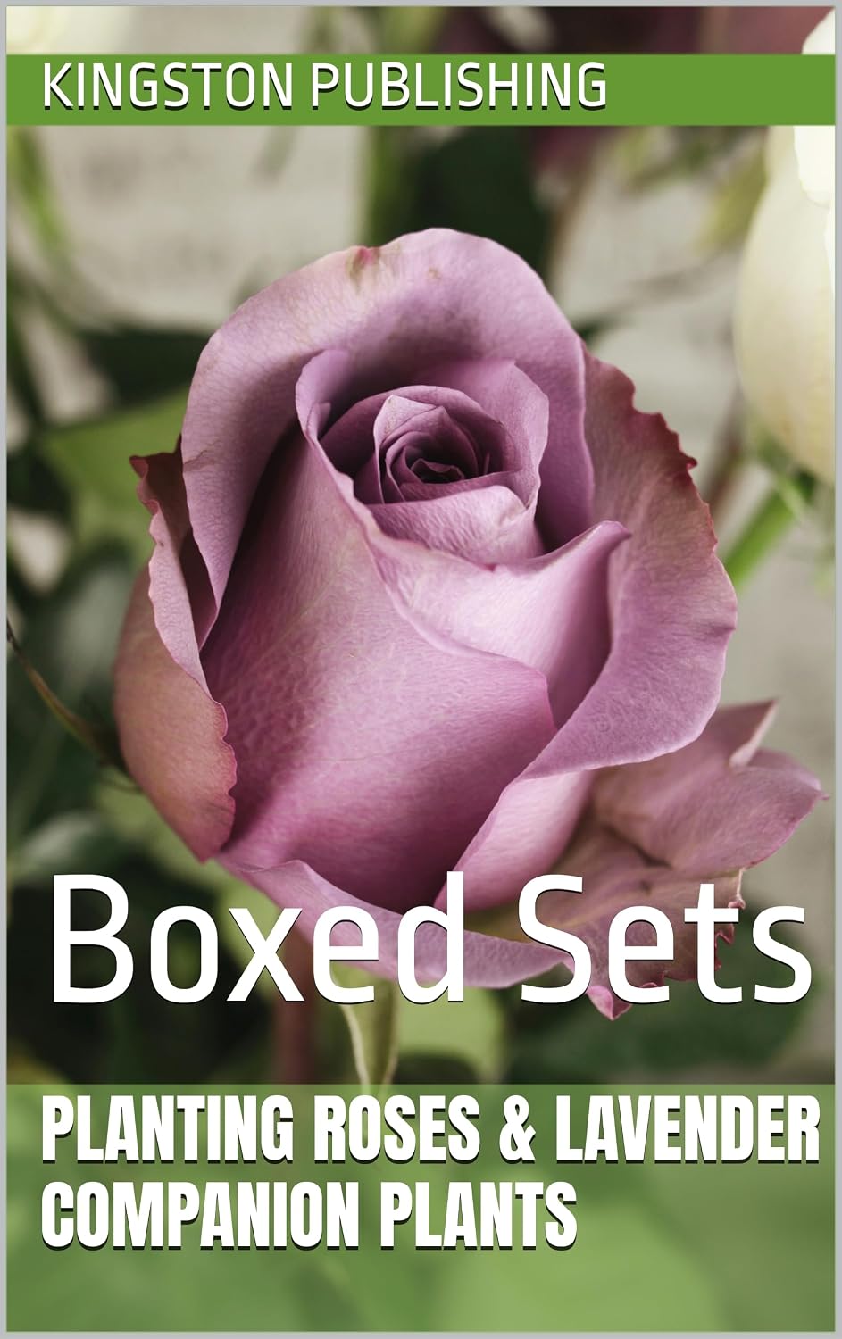 Planting Roses & Lavender Companion Plants: Boxed Sets (City Gardening) (English Edition) baixar o livro de graça