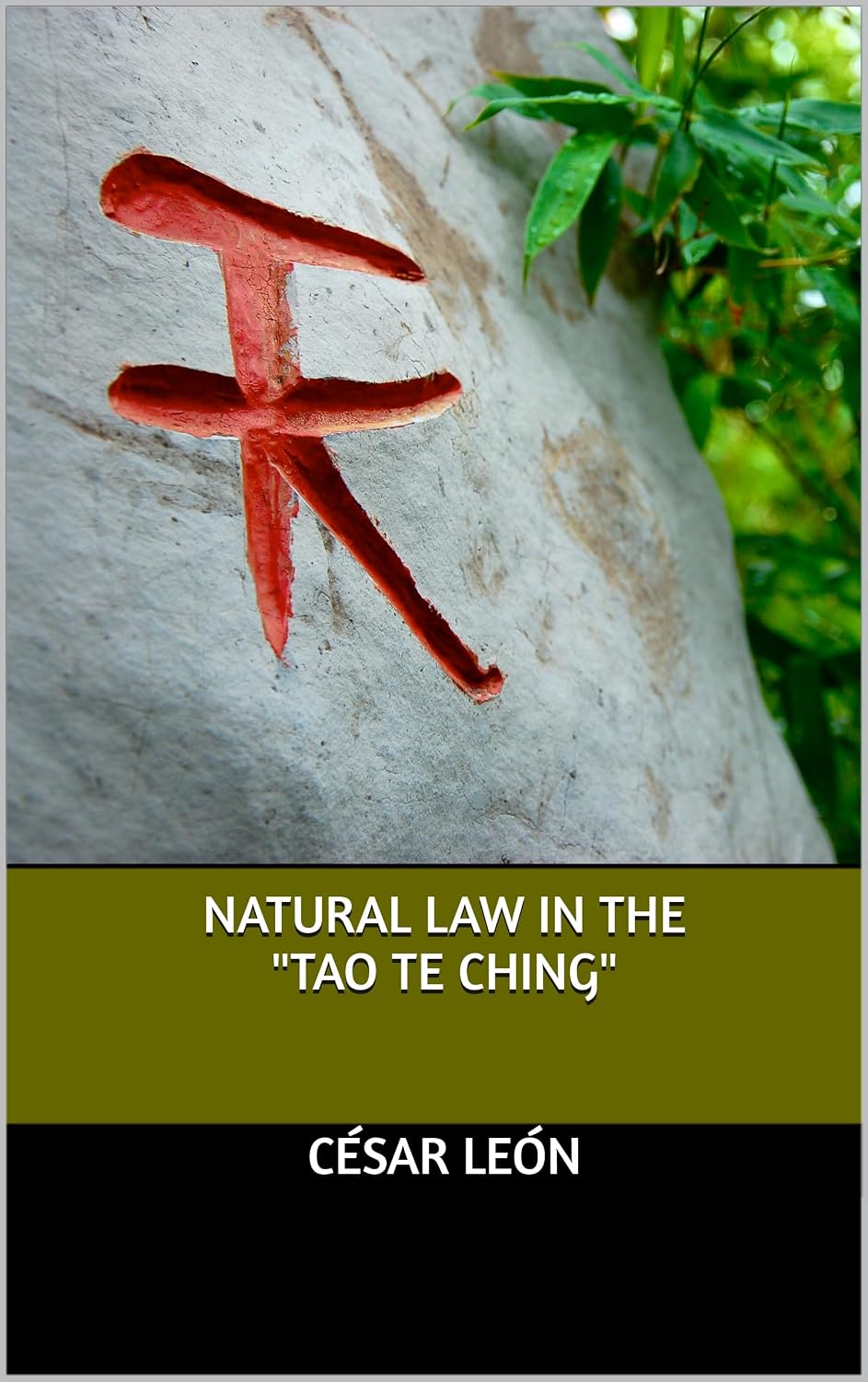 NATURAL LAW IN THE "TAO TE CHING" (English Edition) baixar livro de graça