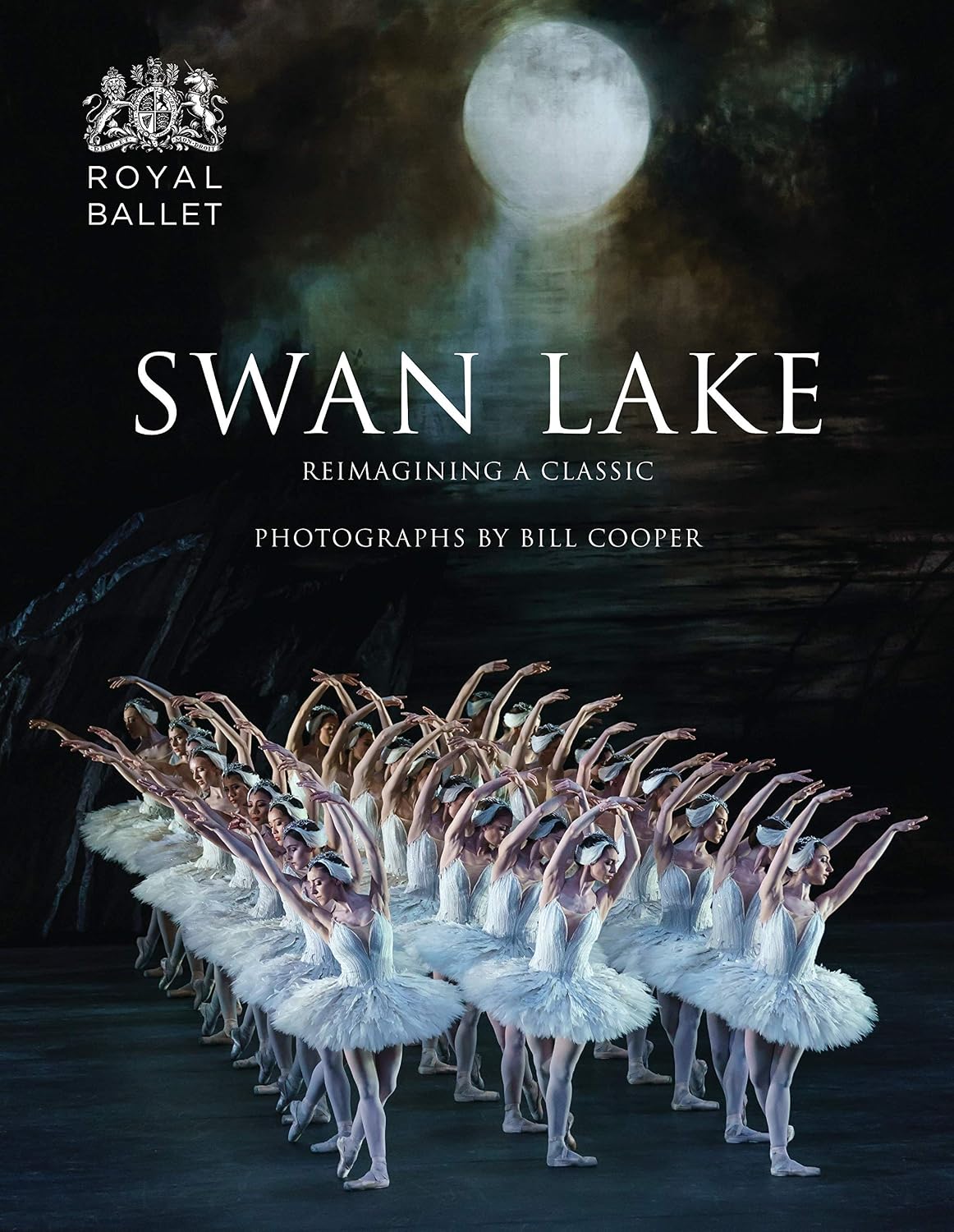ler totalmente Swan Lake: Reimagining a Classic