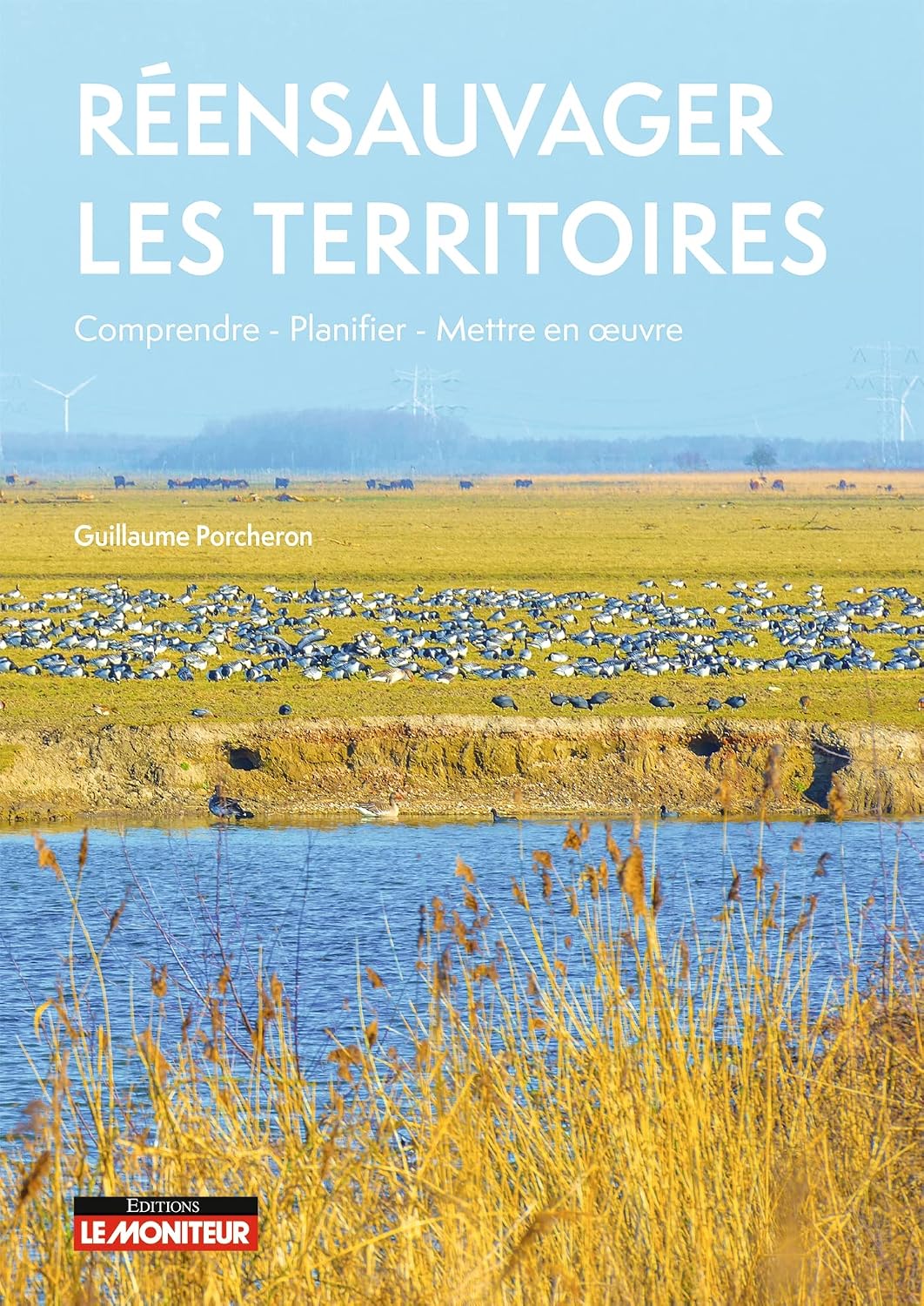 ler totalmente Réensauvager les territoires (French Edition)
