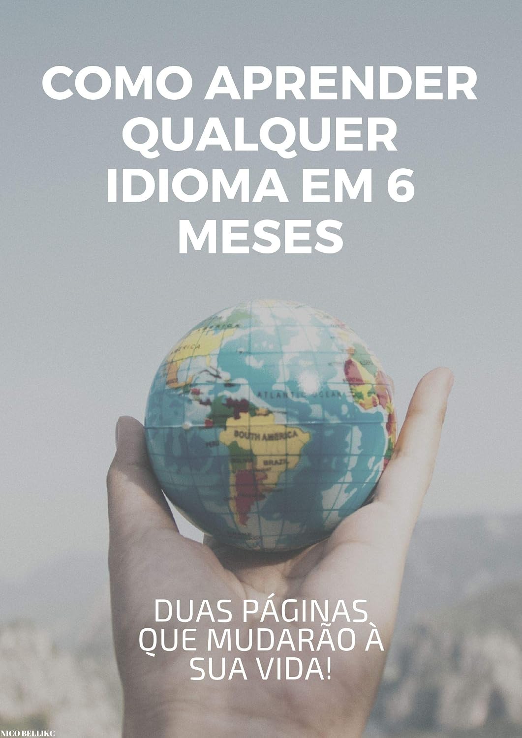 COMO APRENDER QUALQUER IDIOMA EM ATÉ 6 MESES: (Sim, em duas páginas vou te ensinar isso) baixar o livro de graça