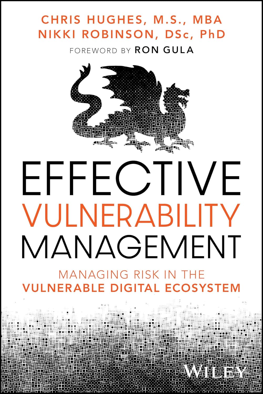 ler totalmente Effective Vulnerability Management: Managing Risk in the Vulnerable Digital Ecosystem