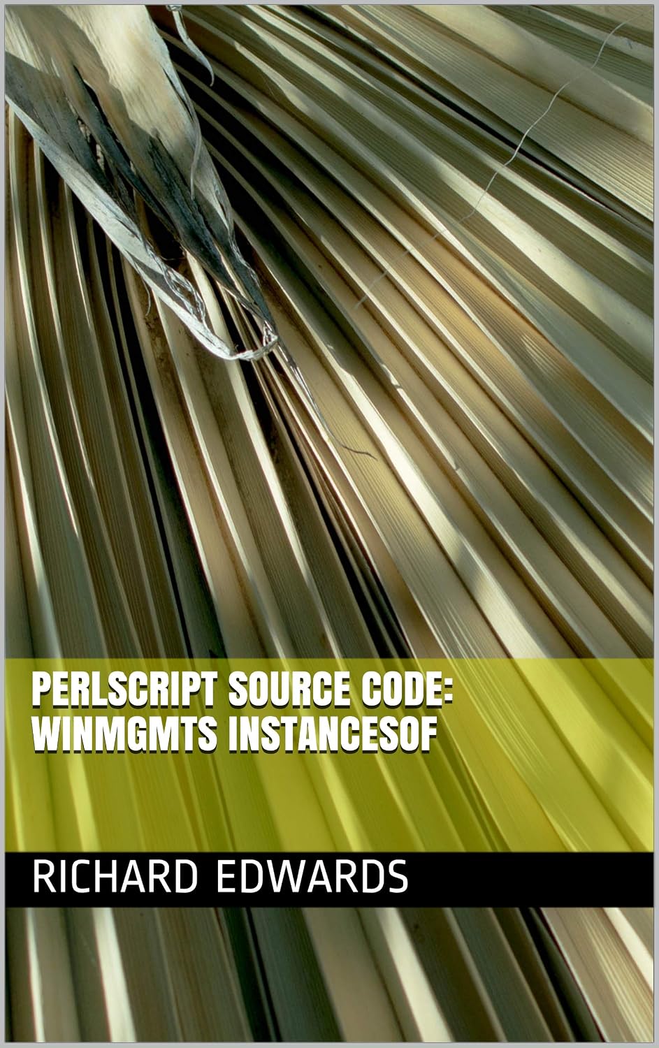 capítulo por capítulo baixar PerlScript Source Code: Winmgmts InstancesOf (English Edition)