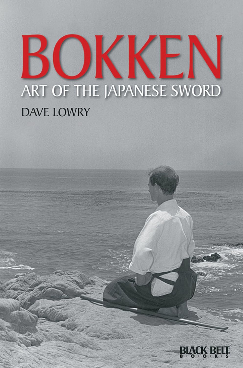 Bokken baixar o livro de graça