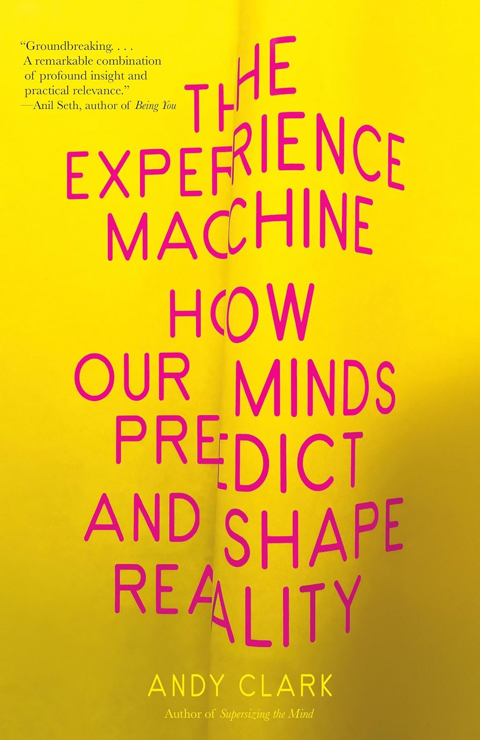 ler totalmente The Experience Machine: How Our Minds Predict and Shape Reality