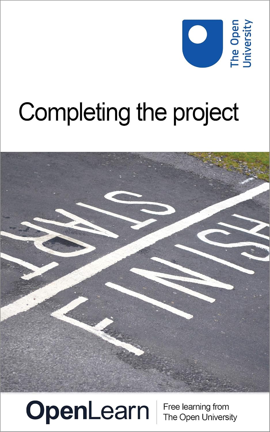 Completing the project (English Edition) baixar o livro de graça